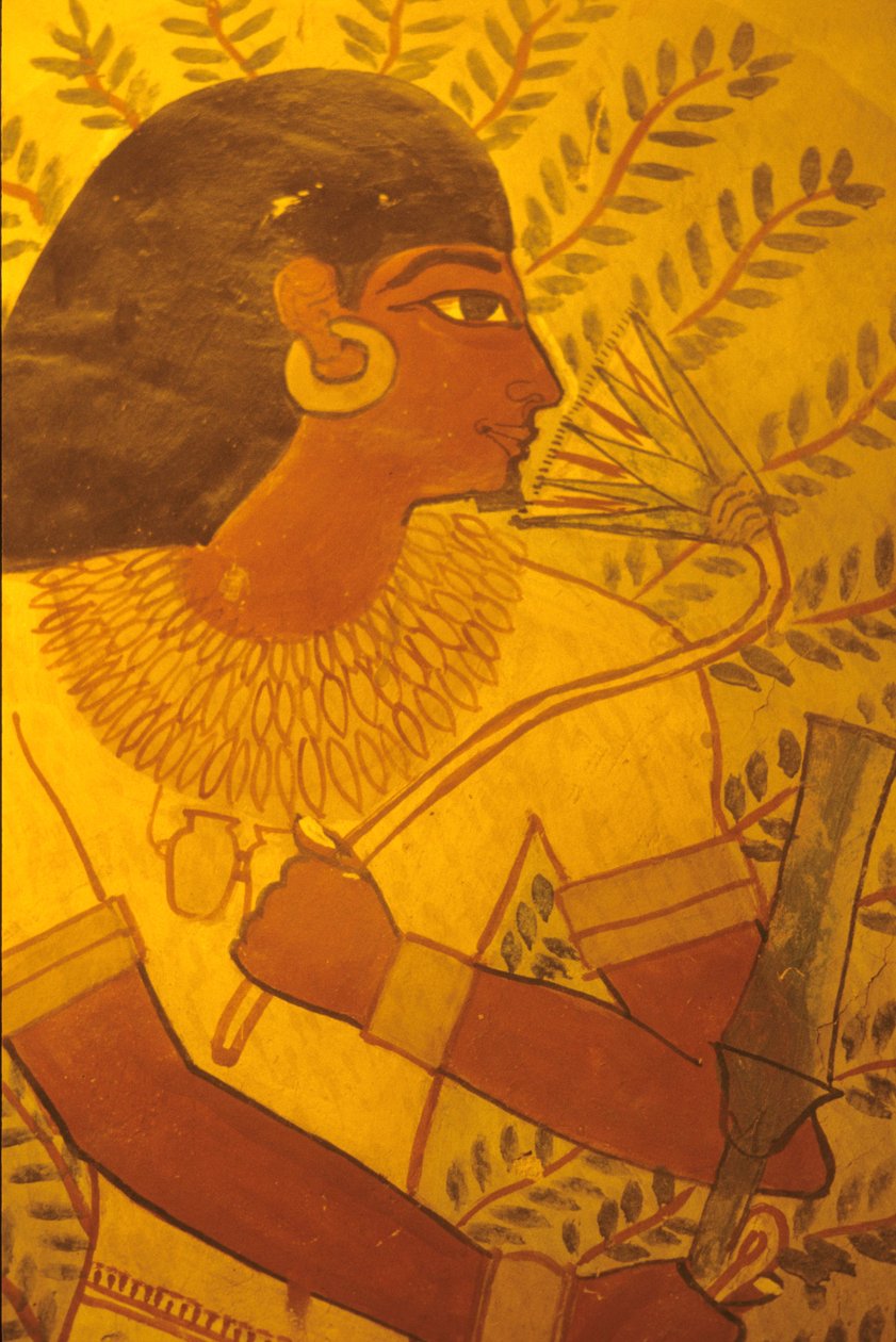Ancient Egypt, Tomb of Sennufer, Thebes, Luxor, Wall painting, mural, fresco by Egyptian Egyptian