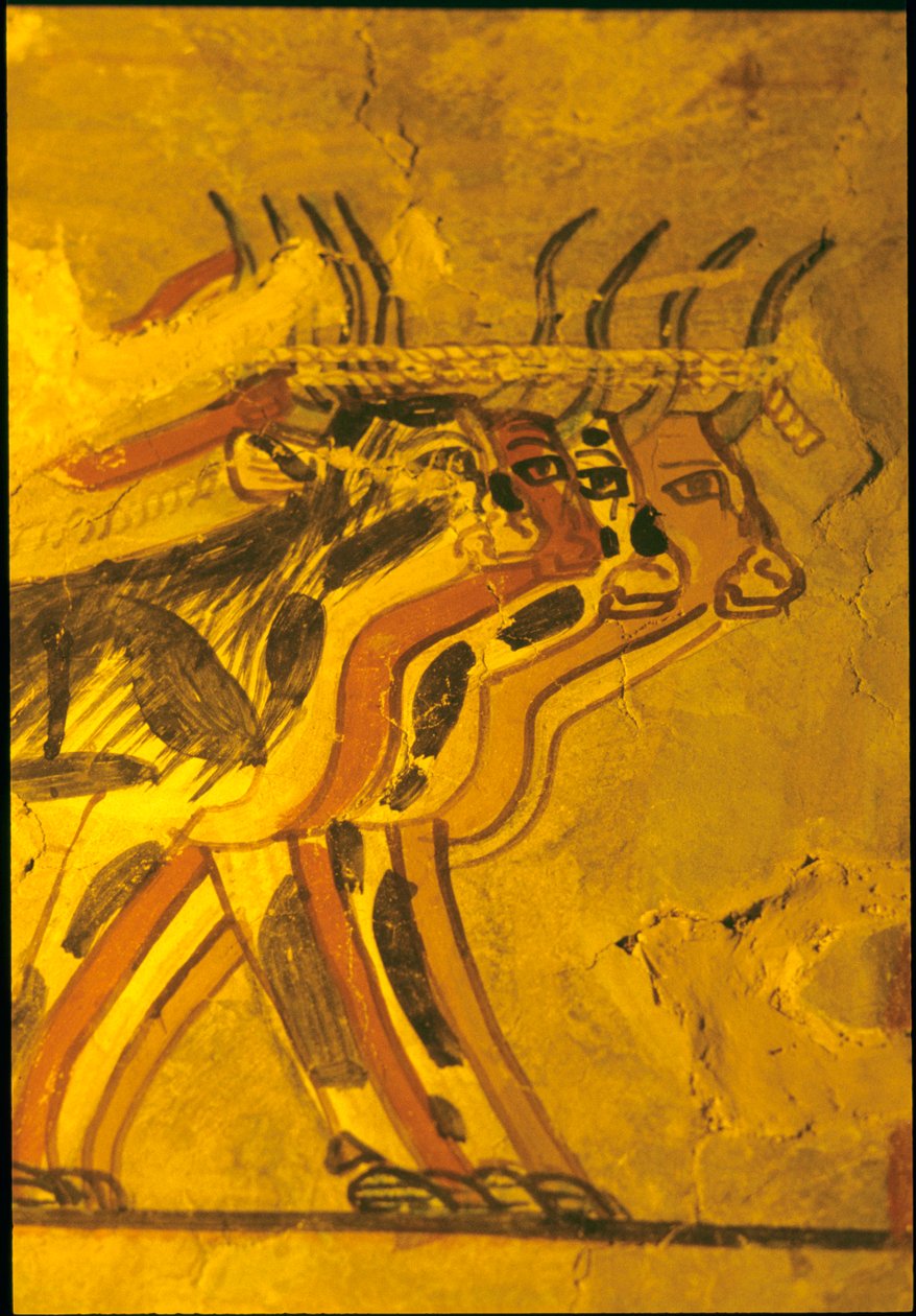 Ancient Egypt, Wall painting, Tomb of Sennufer, Tomb of the Nobles, Thebes by Egyptian Egyptian