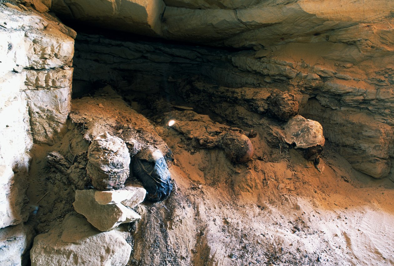 Detail of Tomb No 49, Valley of Golden Mummies, Bahariya Oasis, Giza, Egypt by Egyptian Egyptian