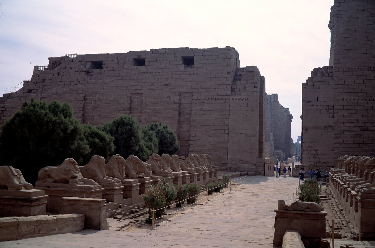 Allee of the Criosphinx in Karnak, Luxor, Egypt by Egyptian Egyptian