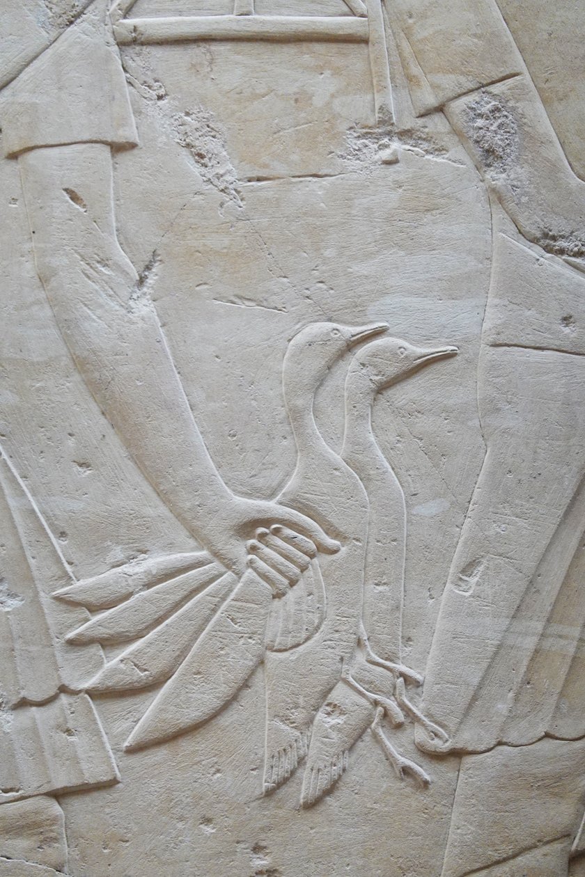 Hand holding 2 geese by the wings, Ramose