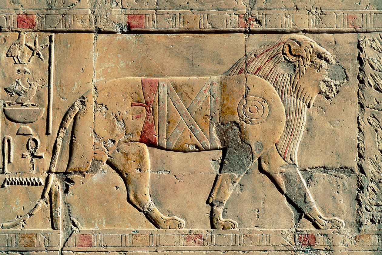 Lion, Senenmut, Temple of Hatshepsut, Dayr al-Bahri, Egypt by Egyptian Egyptian