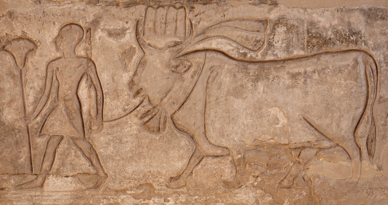 Man Pulling a Cow, Horus Temple, Edfu by Egyptian Egyptian