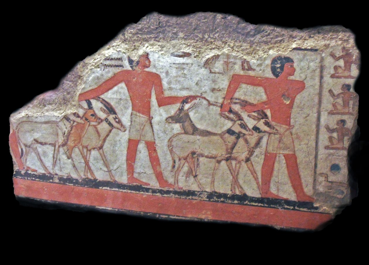 Desert (oryx, gazelles) are brought before Metchetch. Ancient Egyptian wall painting by Egyptian Egyptian