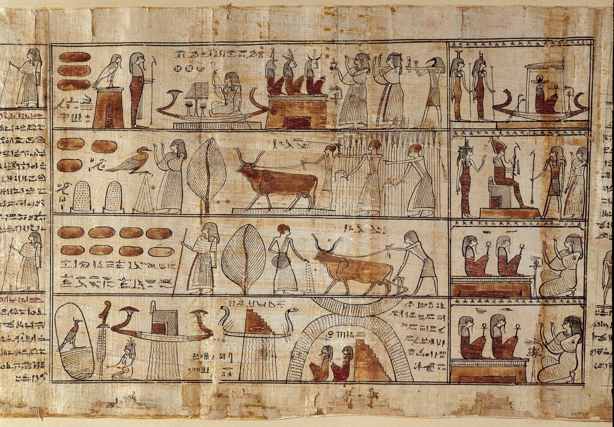 Ancient Egypt: the Elysian fields. Painting on papyrus from the Book of the Dead. Ptolemaic Period. Egyptian museum, Turin by Egyptian Ptolemaic Period