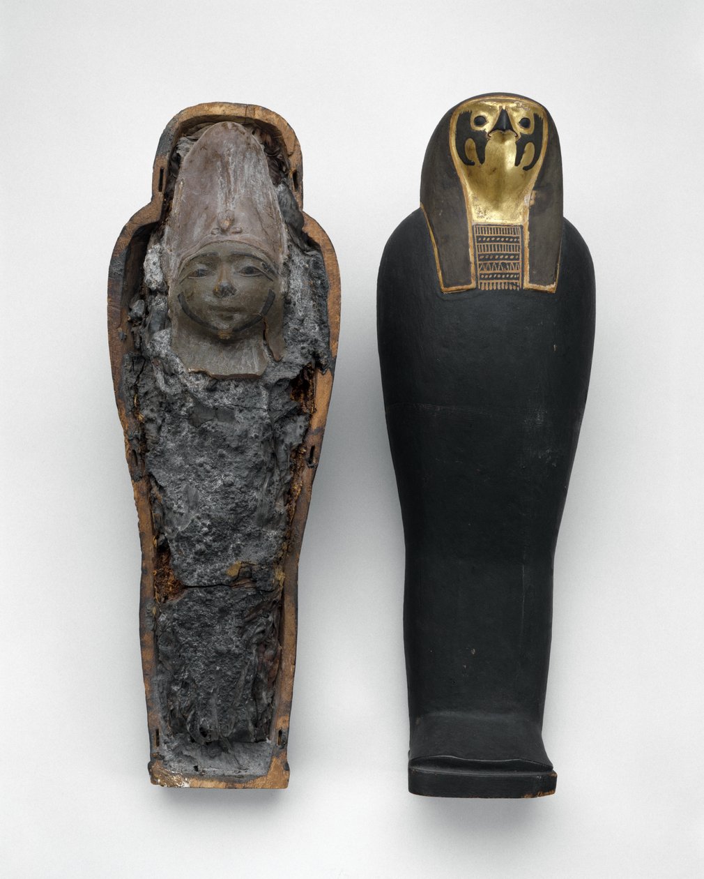 Falcon-form Coffin with Grain Mummy by Egyptian Ptolemaic Period