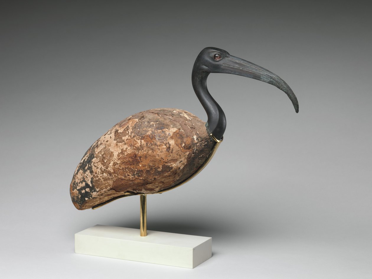 Ibis by Egyptian Ptolemaic Period
