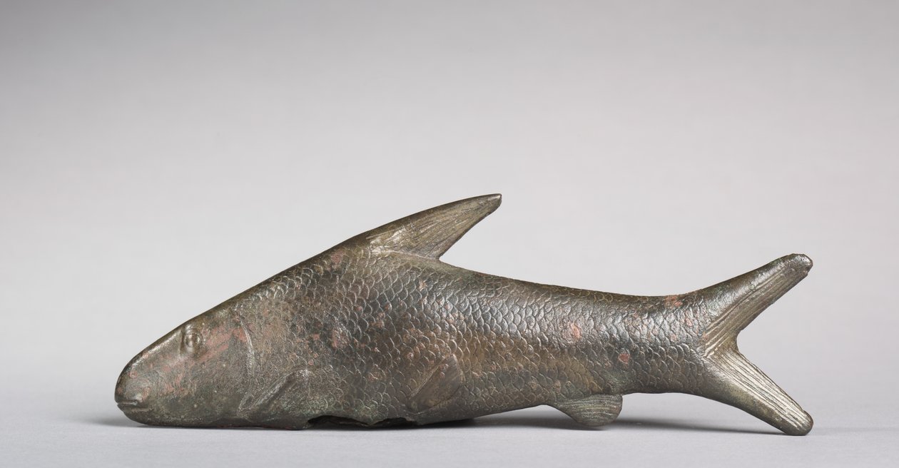 Lepidotus Fish, Greco-Roman Period, 305-30 BC by Egyptian Ptolemaic Period