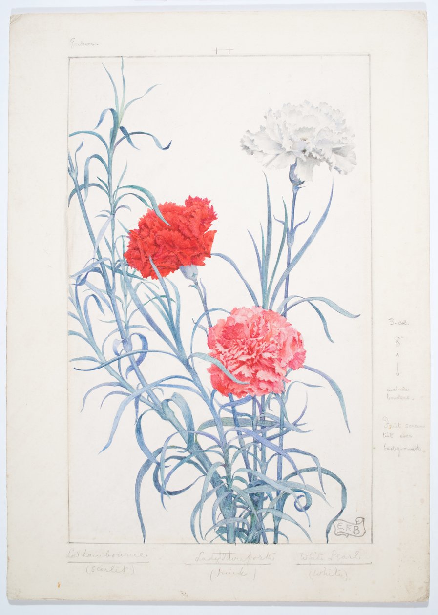 Carnations, c. 1909 by Eleanor Fortescue-Brickdale