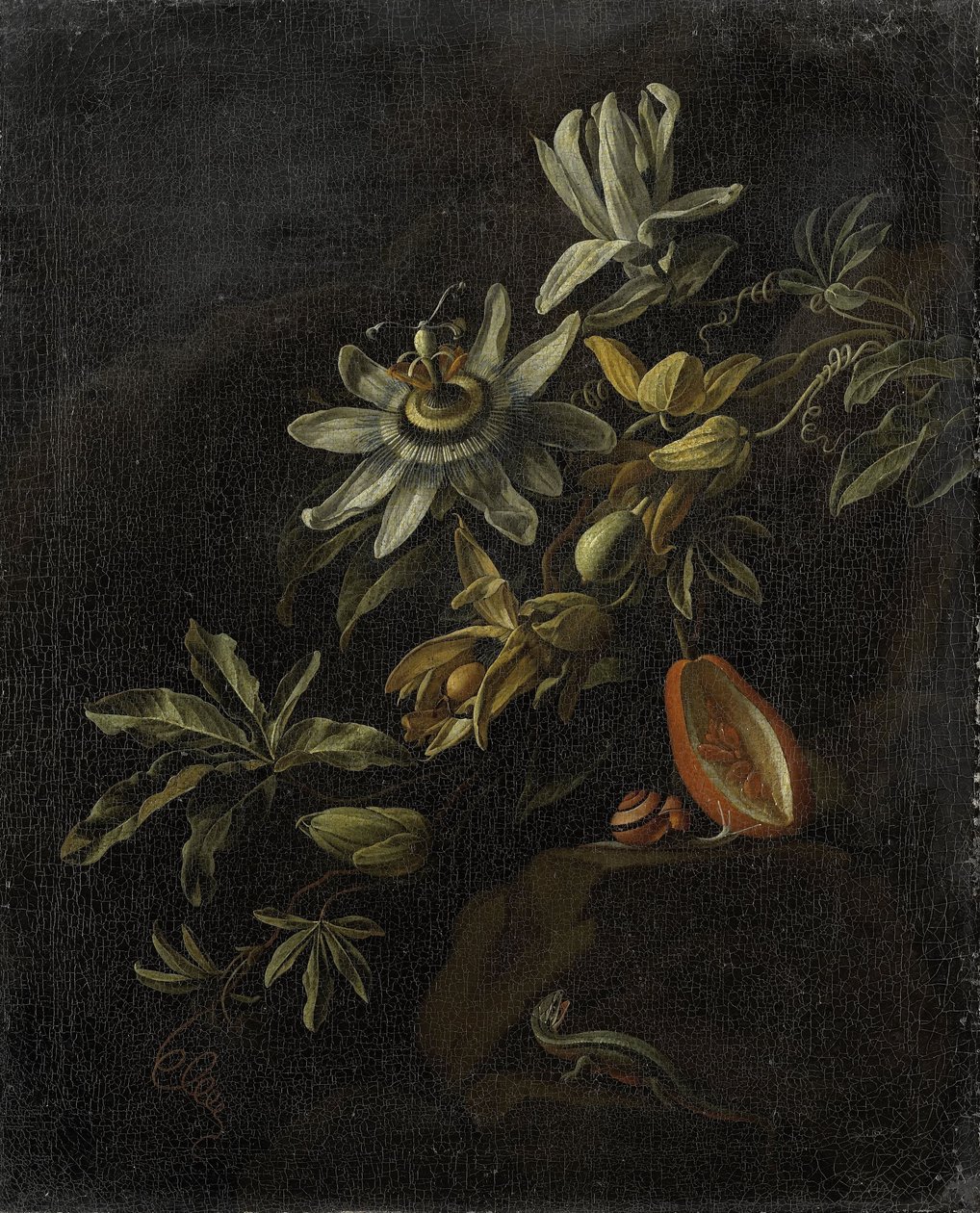 Still Life with Passionflowers by Elias van den Broeck