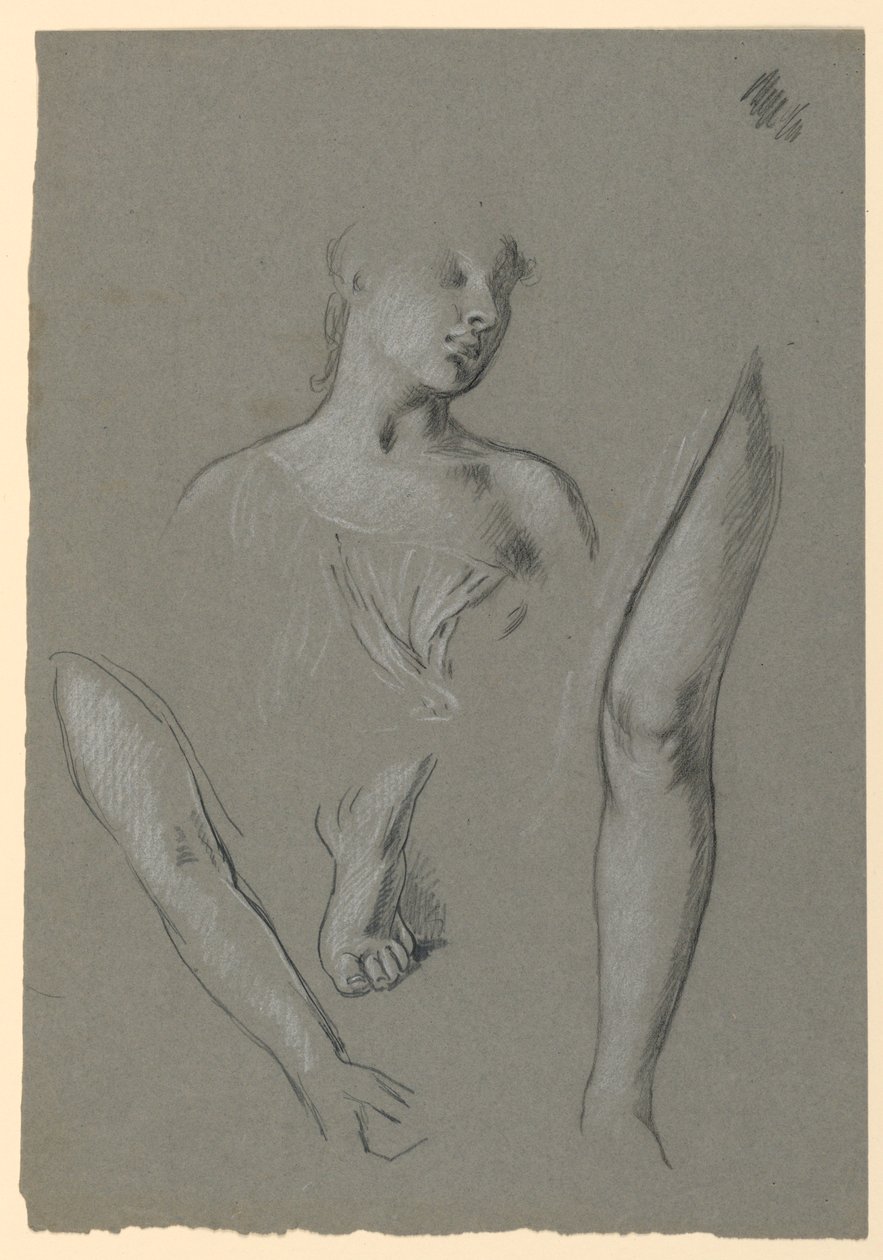 Details of Figure Studies by Elihu Vedder