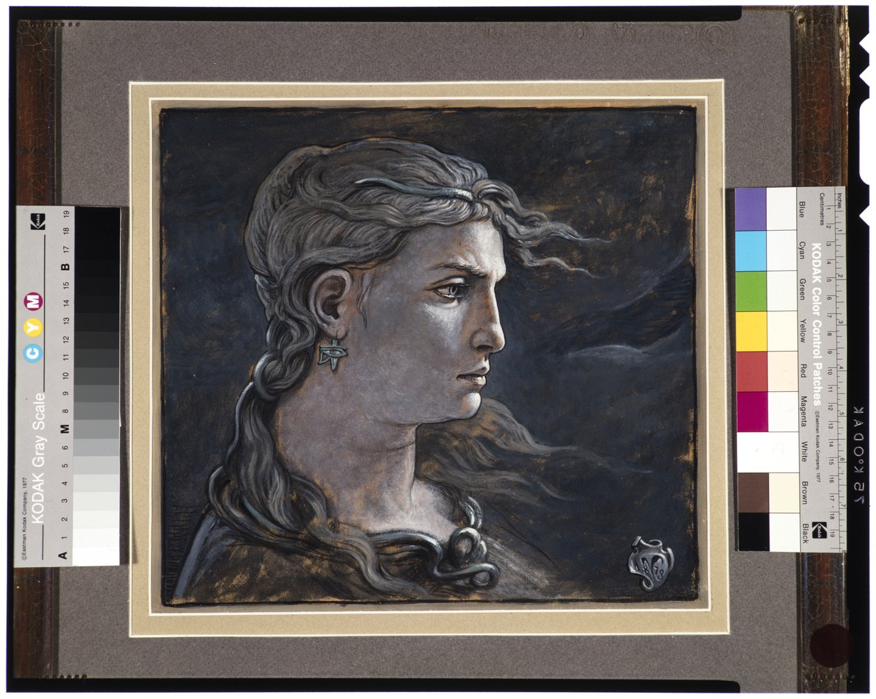 Head of Medusa by Elihu Vedder