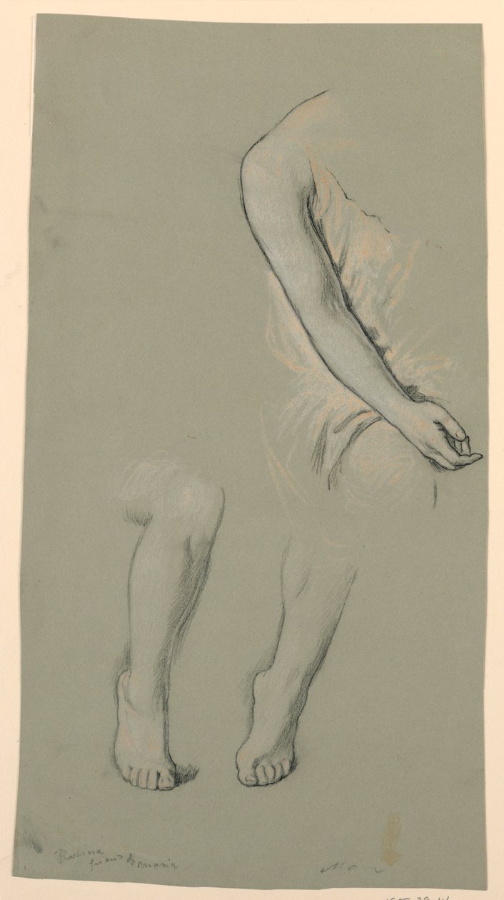 Figure Study Models