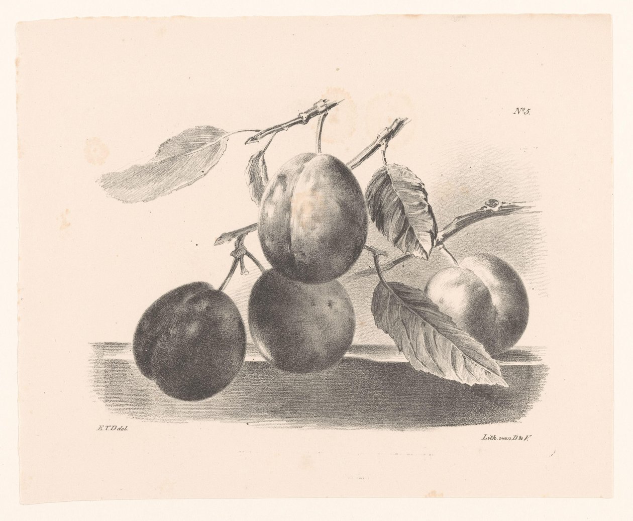 Plums on Branches by Elise Therèse Daiwaille