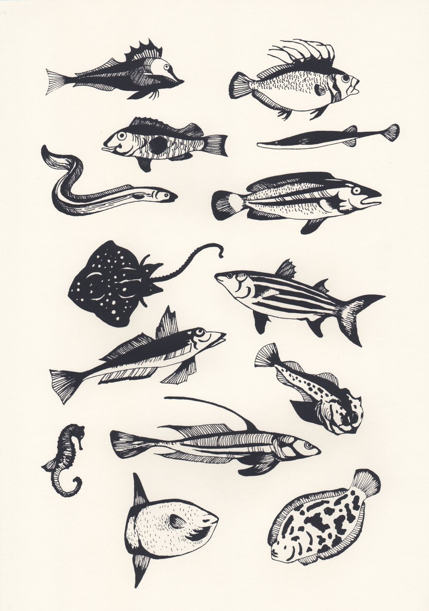 Monotone Plain Fish by Eliza Southwood