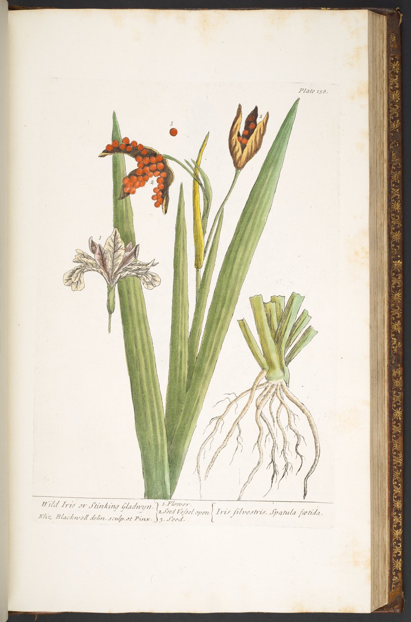 Plate 158, from 
