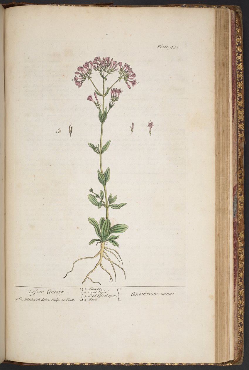 Plate 452, from 