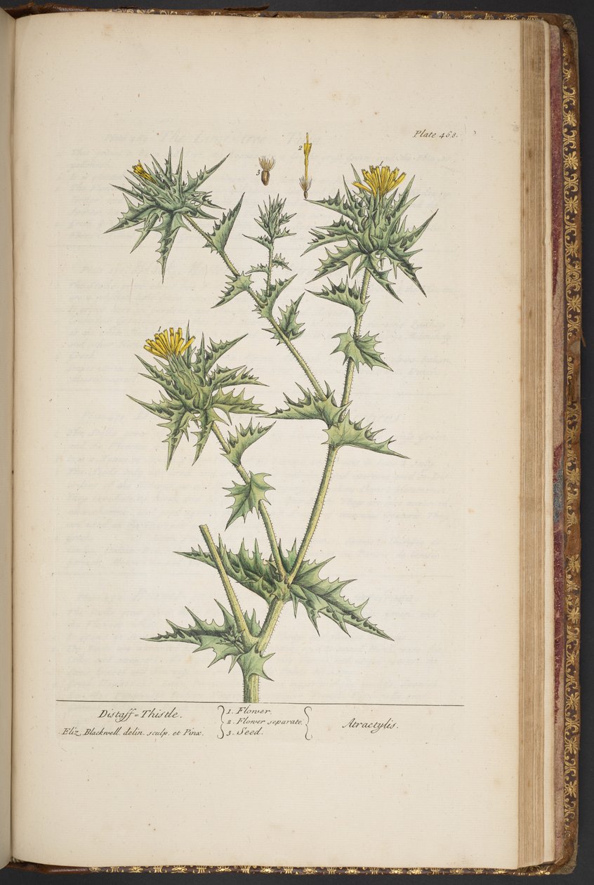 Plate 468, from 