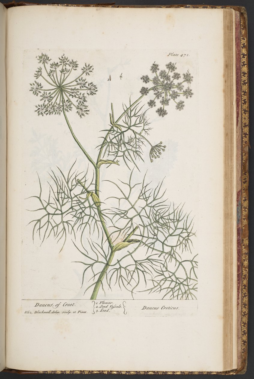 Plate 471, from 