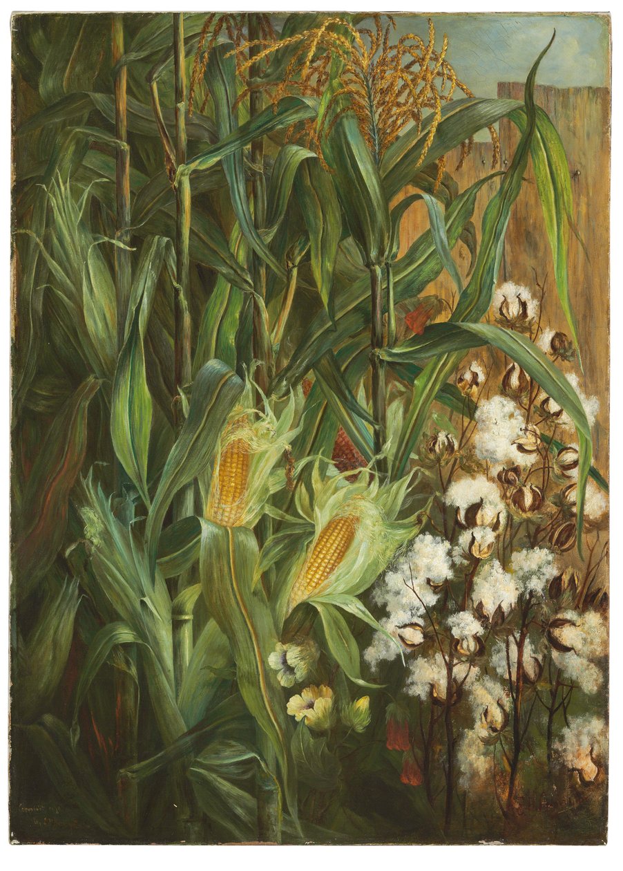 The Two Kings: Corn and Cotton by Elizabeth H. Remington
