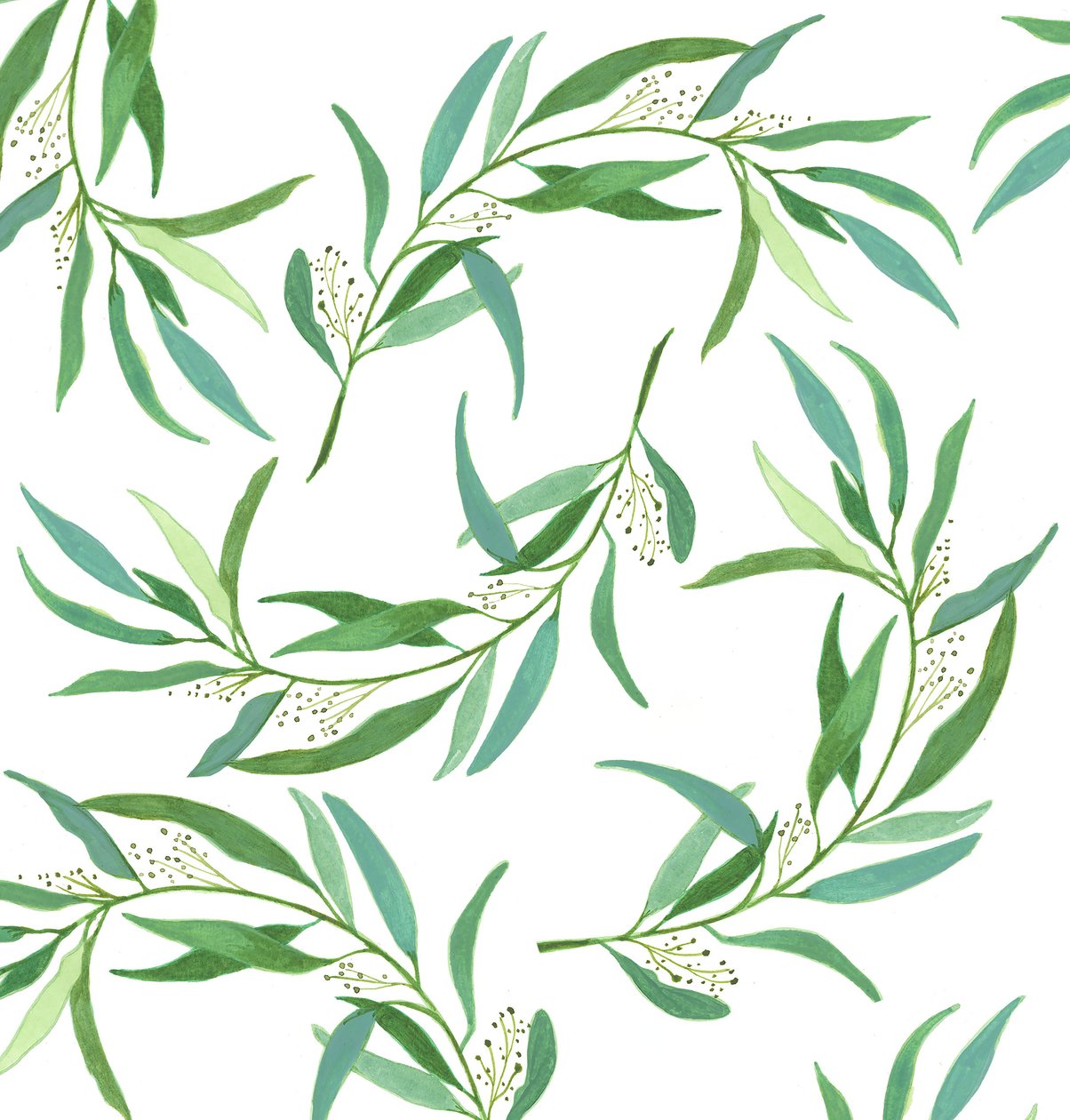 Eucalyptus Leaves by Elizabeth Rider