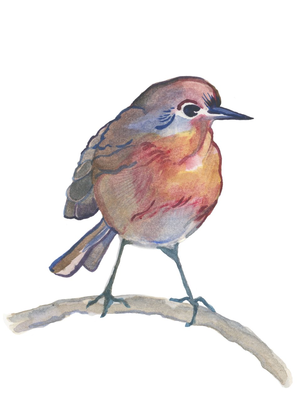 Robin by Elizabeth Rider