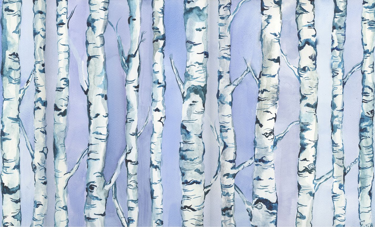 Silverbirch Forest by Elizabeth Rider