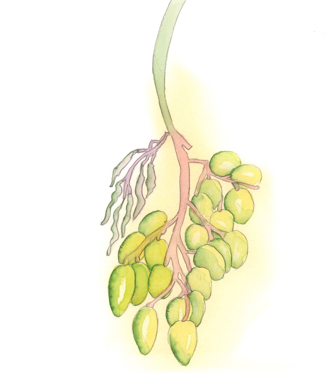 Catholics need prayer to draw graces from Christ by Elizabeth Wang