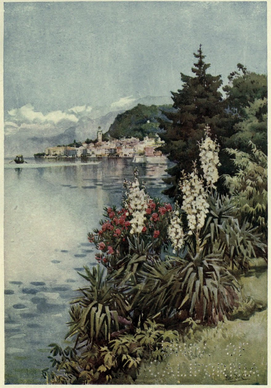 A Group of Yuccas, Villa Melzi, Lago di Como, Illustration from 