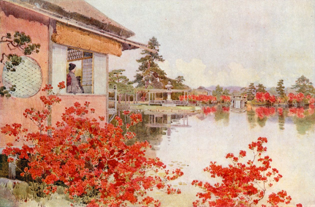 Azaleas, Nagaoka by Ella Du Cane