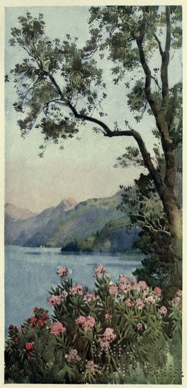 Lago di Como, Illustration from 