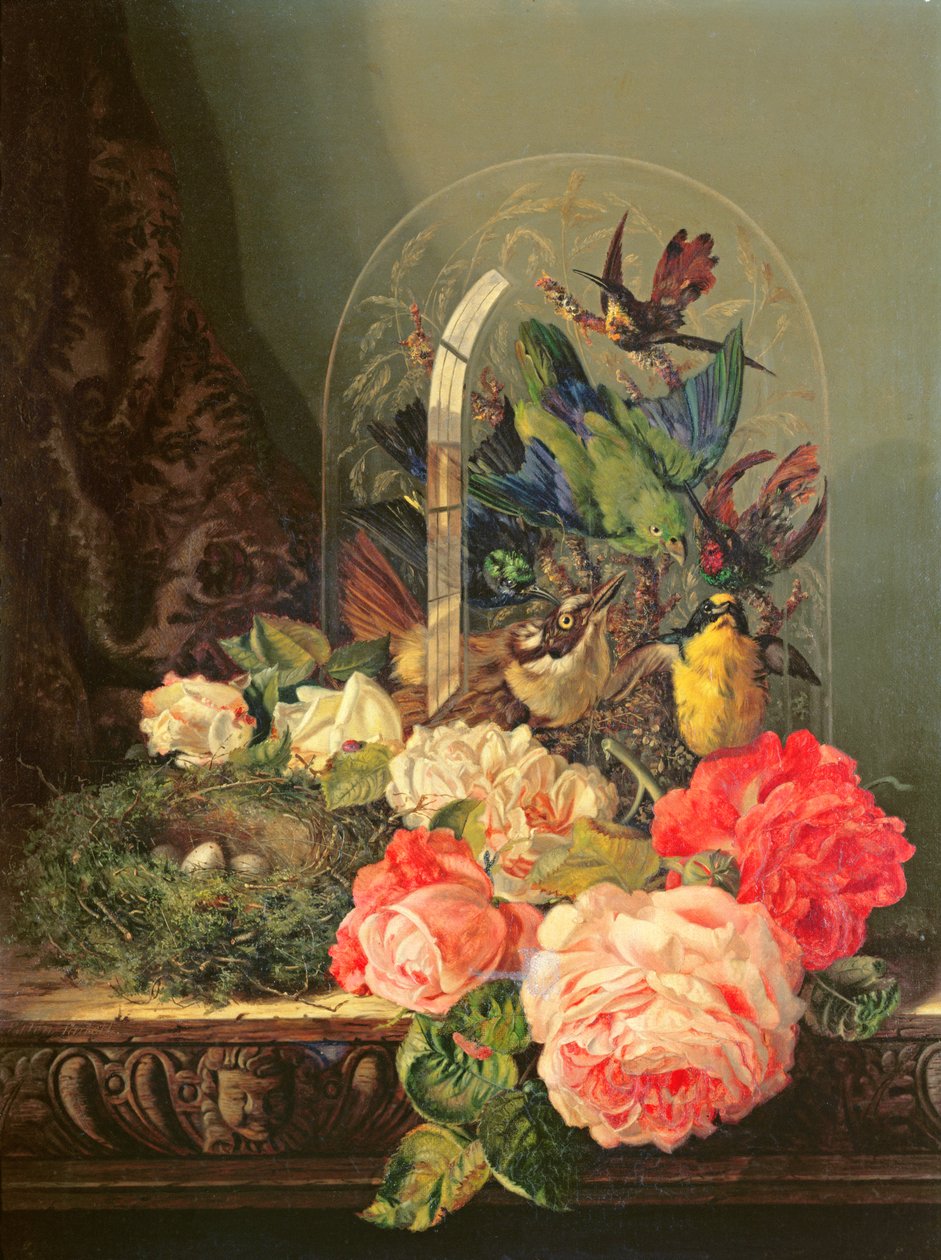 Still Life of Birds, Flowers and a Bird