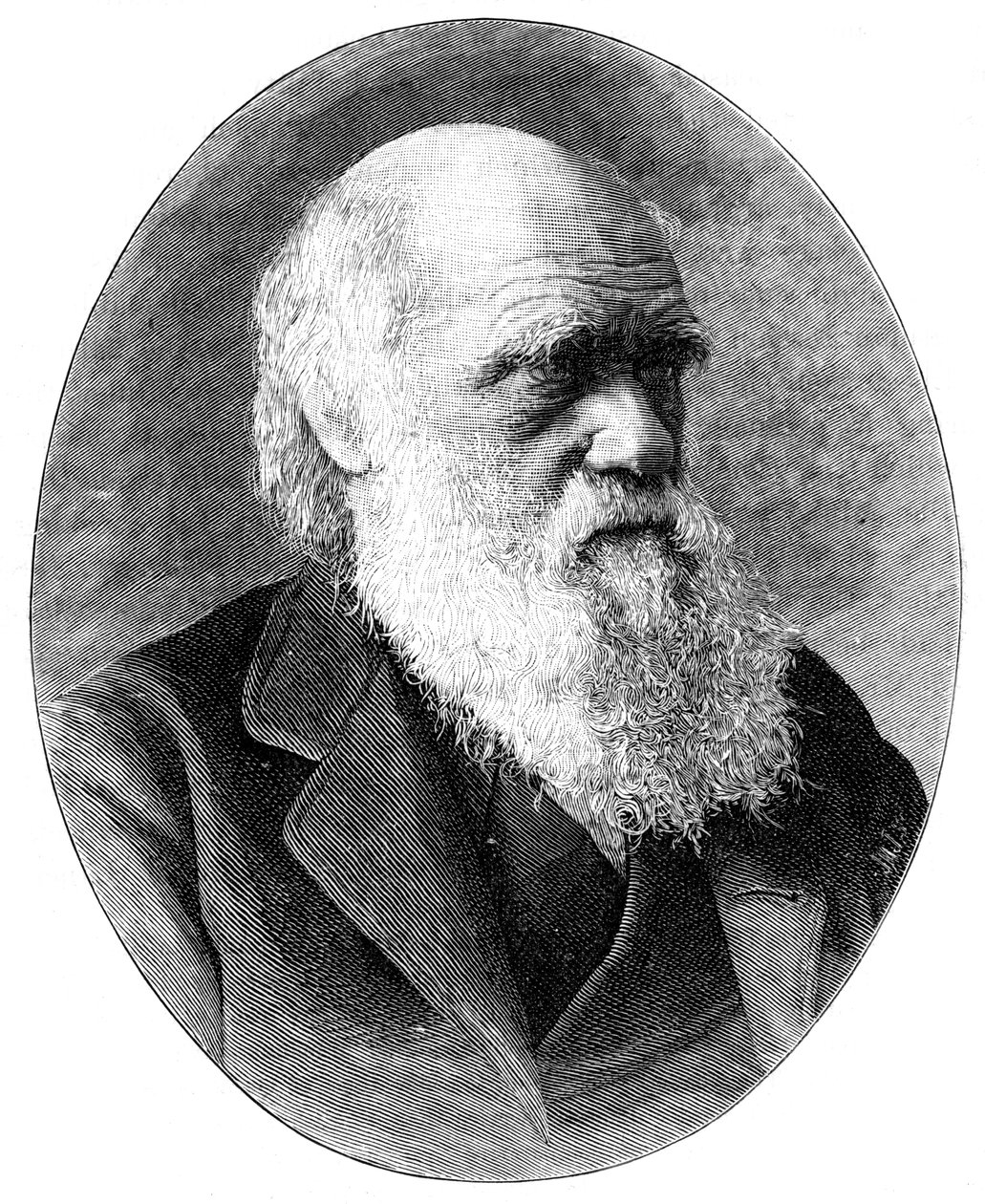 Charles Darwin, English Naturalist by Elliott and Fry