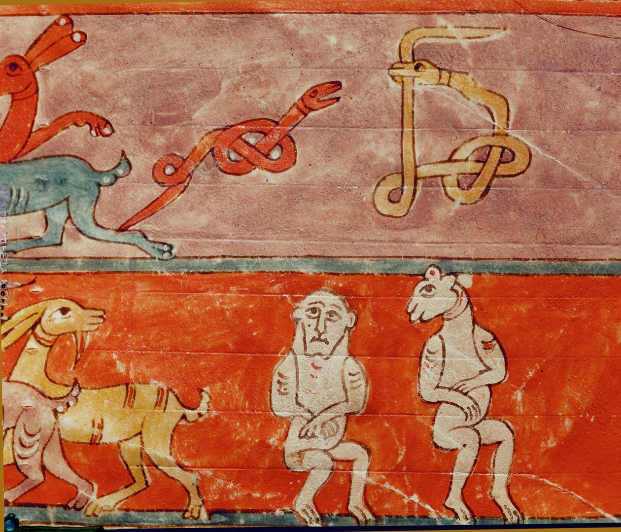 Animals inside the Ark by Emeterio the Monk and Nun