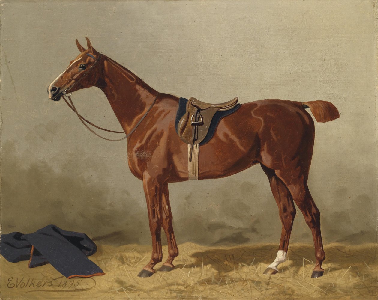 Saddled Sport Horse by Emil Volkers