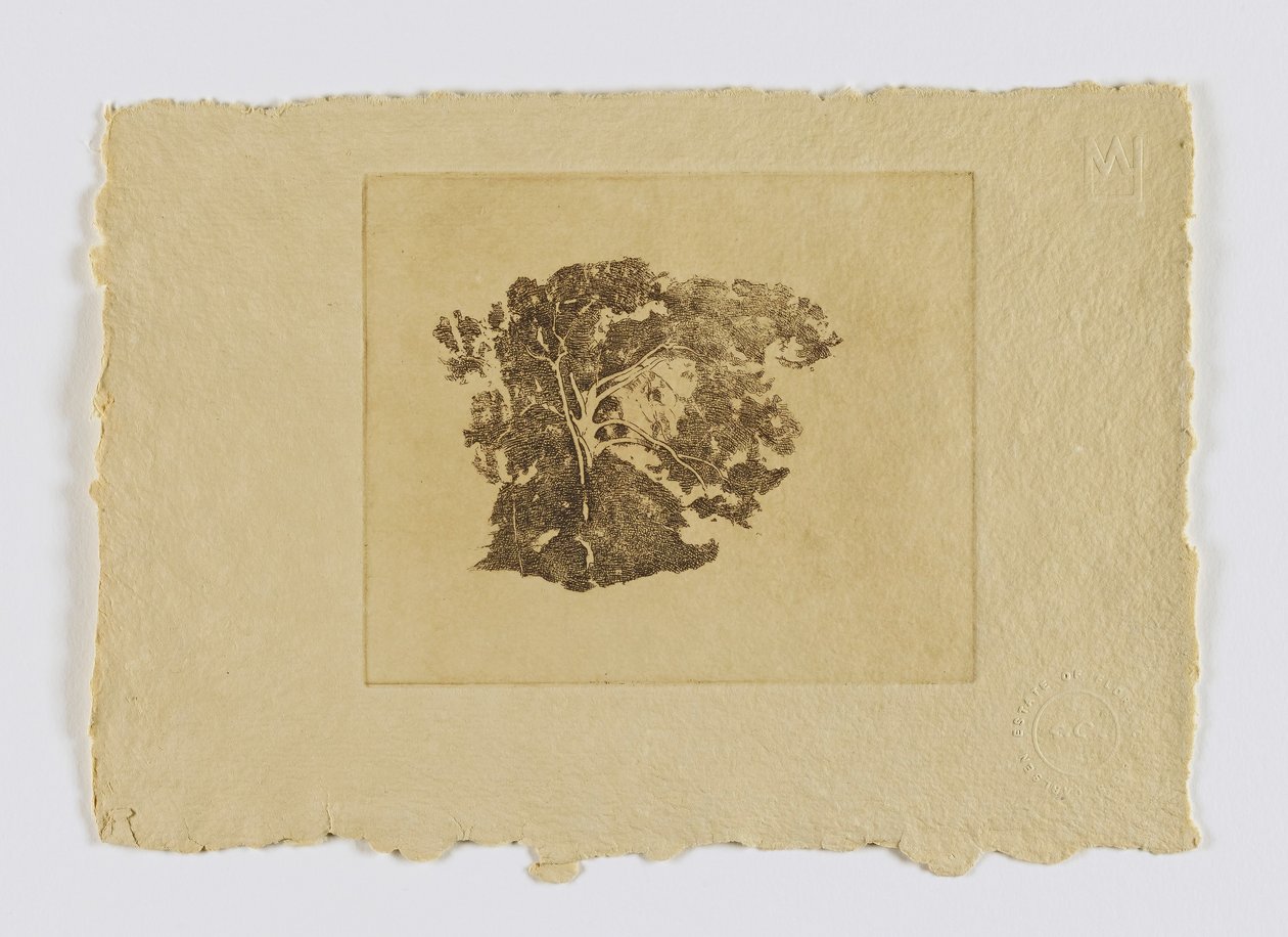 Tree Study (from portfolio) by Emil Carlsen