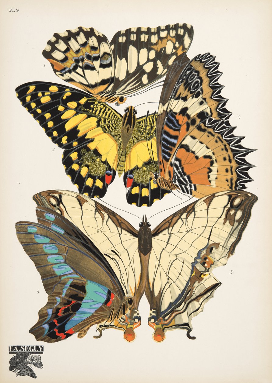 Plate 9, from Papillons by Émile Allain Séguy