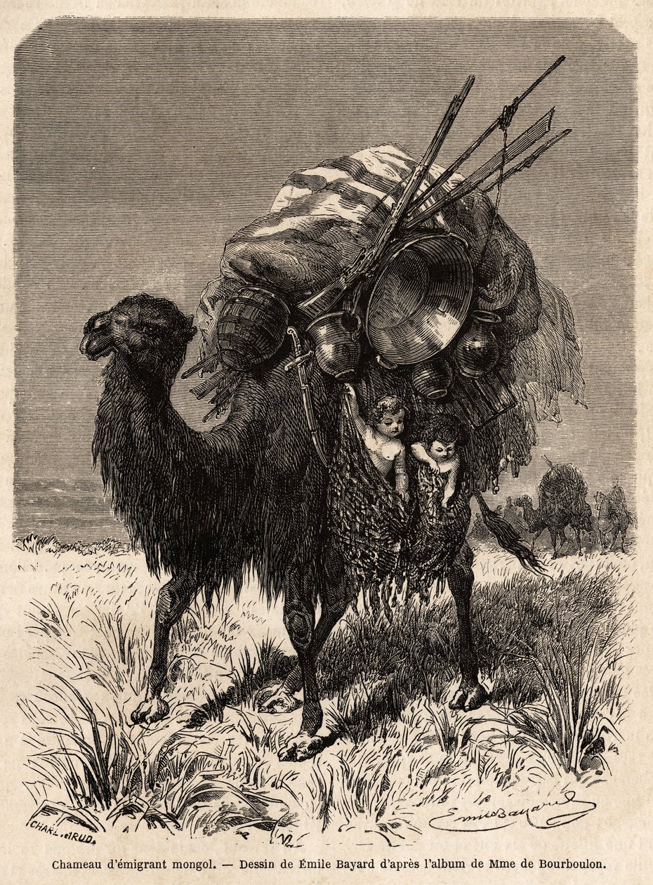 A Mongolian emigrant camel carrying provisions various utensils