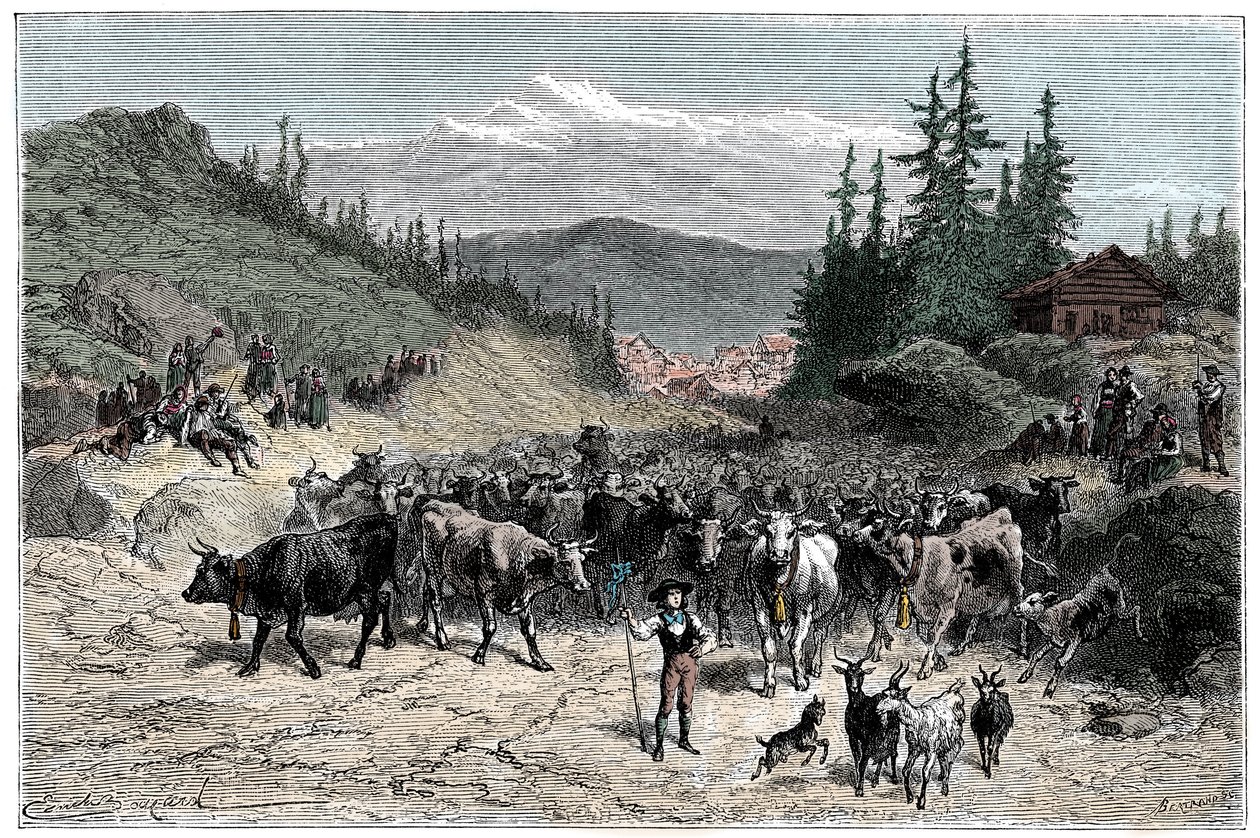 Alps: the jodel or departure of herds (cows, goats) towards the pastures. Illustration by Emile Bayard for the book 