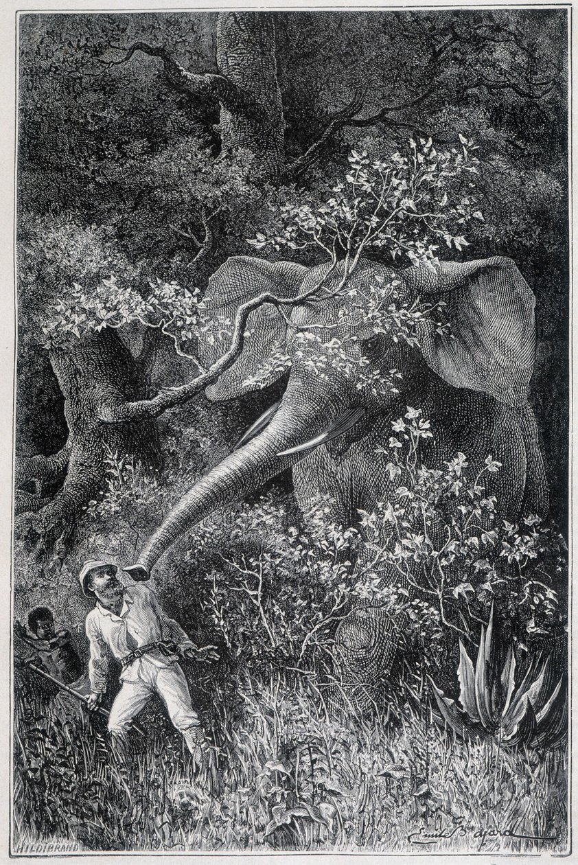 Livingstone surprised by an elephant, in "Le Tour du Monde" by Emile Antoine Bayard