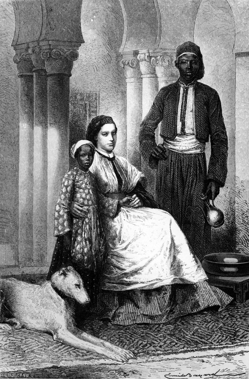 Miss Tinne in Her Cairo Home, Illustration from 