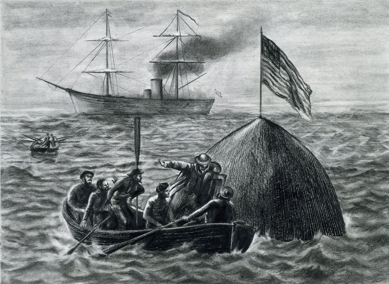Illustration for the Novel 