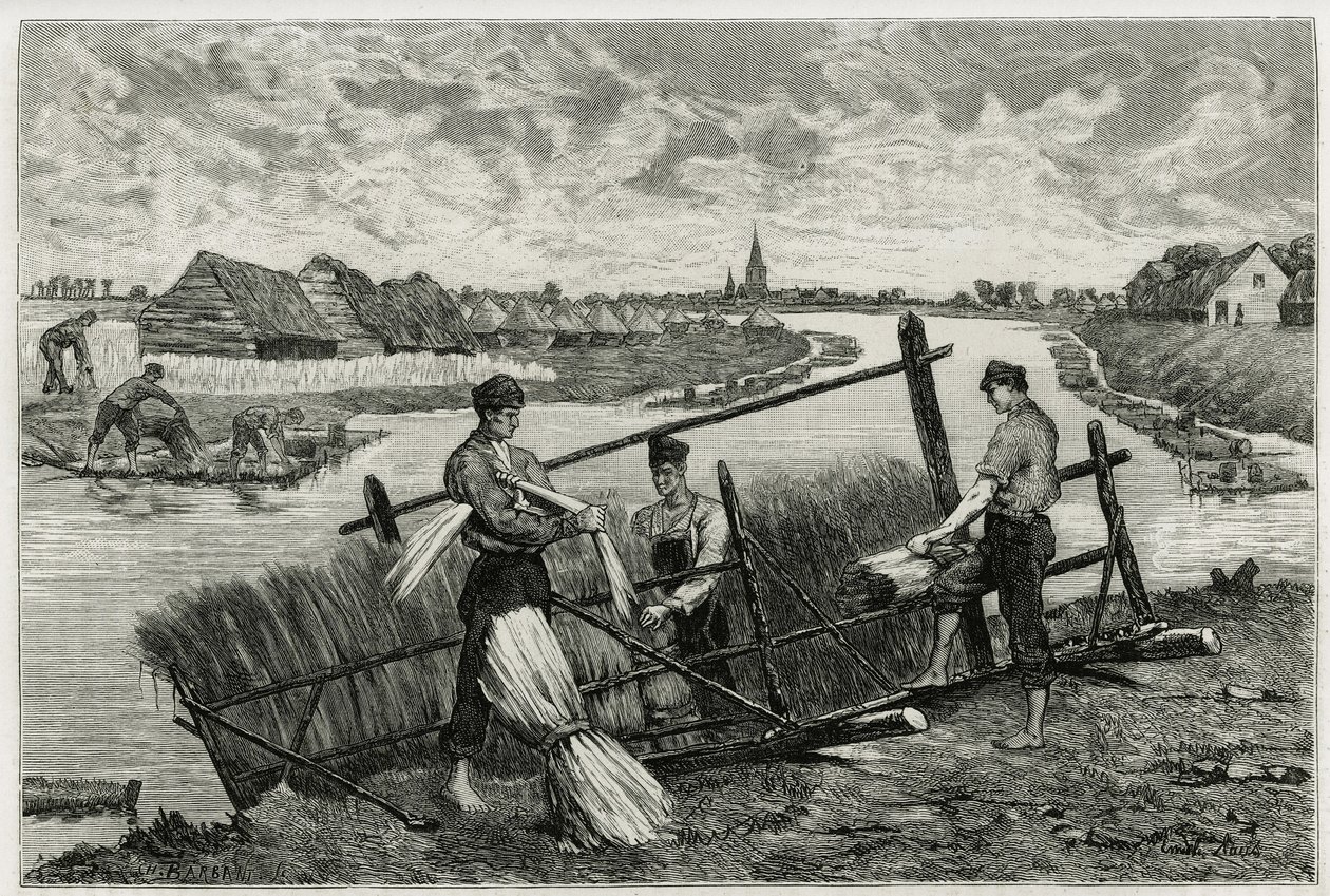 The rust of flax (engraving by Emile Claus, to illustrate the story La Belgique, by Camille Lemonnier) by Emile Claus