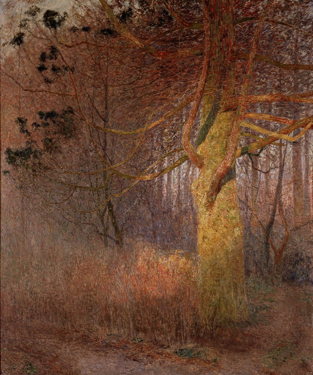 Sunny Tree by Emile Claus