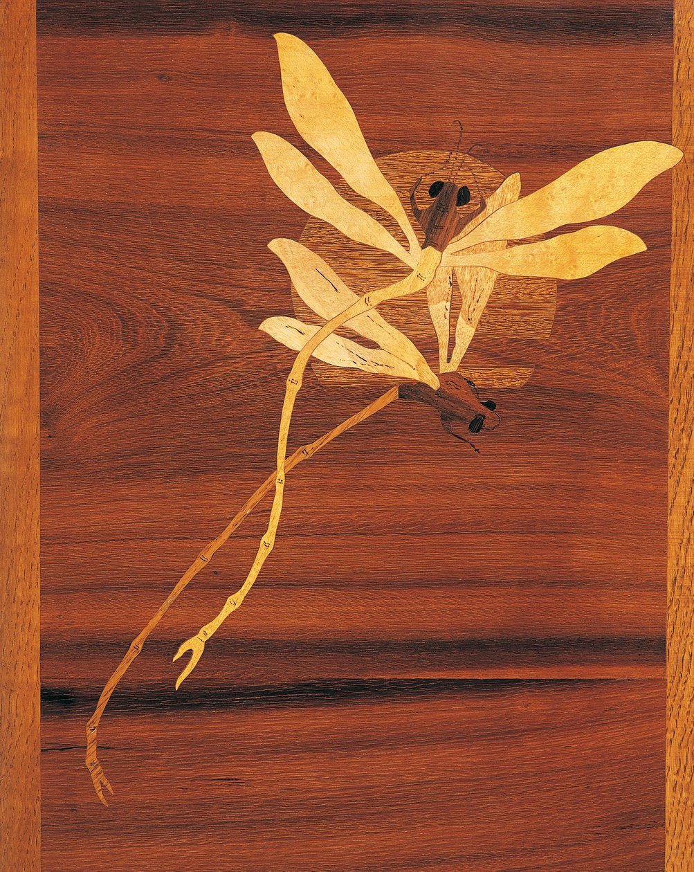 Dragonflies (detail) by Emile Galle