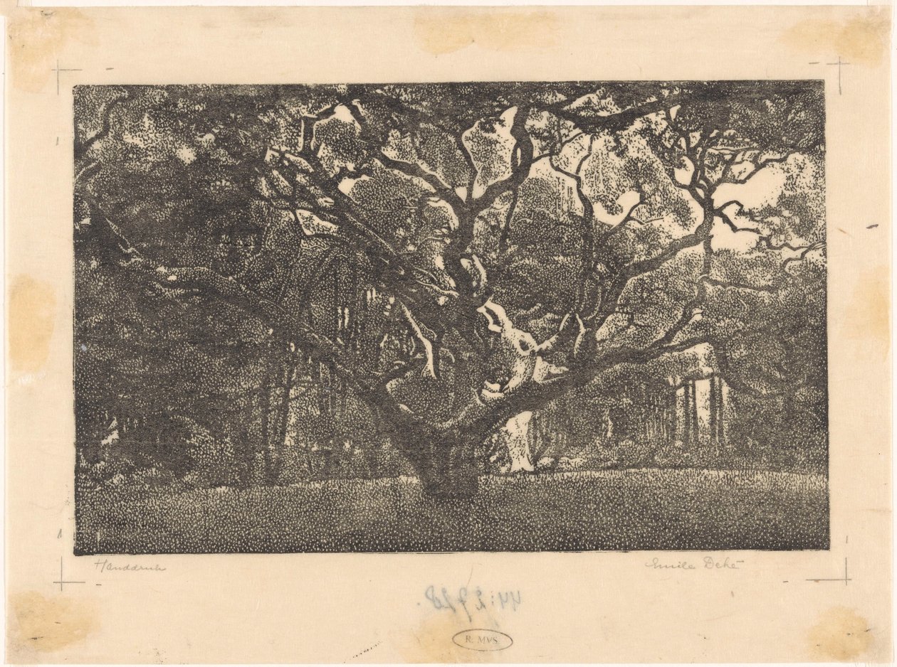 Forest in Bergen by Emilius Wilhelmus Dehé (signed by artist)