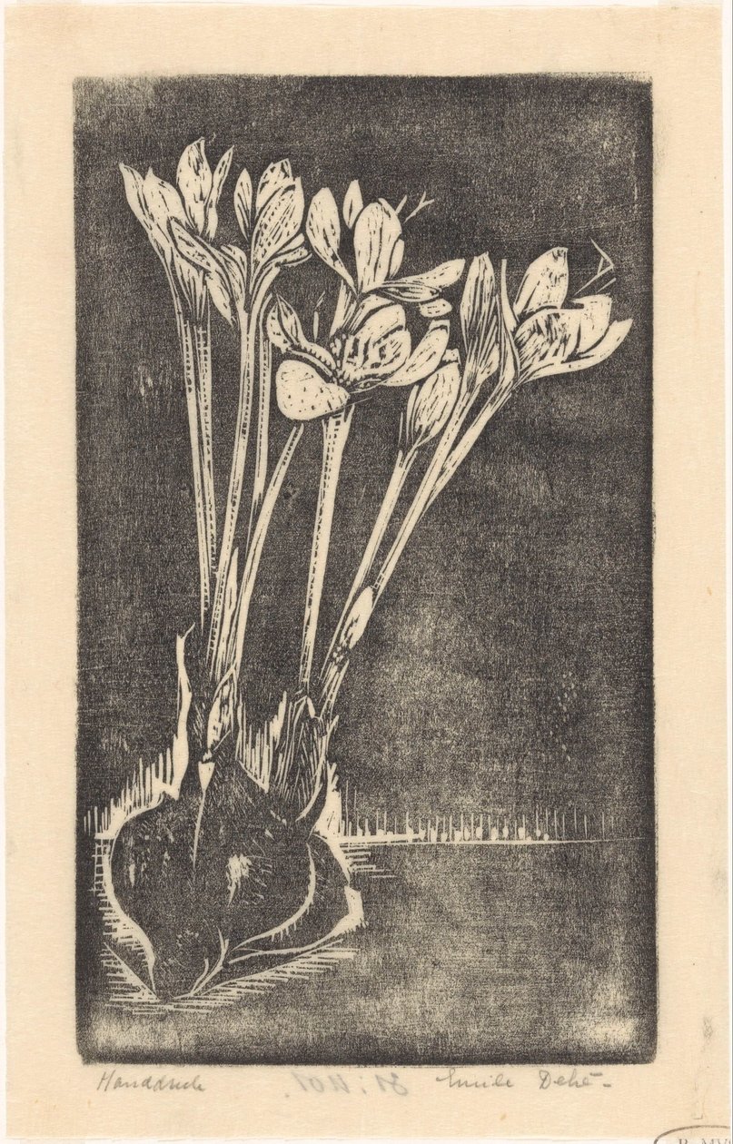 Autumn Crocus by Emilius Wilhelmus Dehé (signed by artist)
