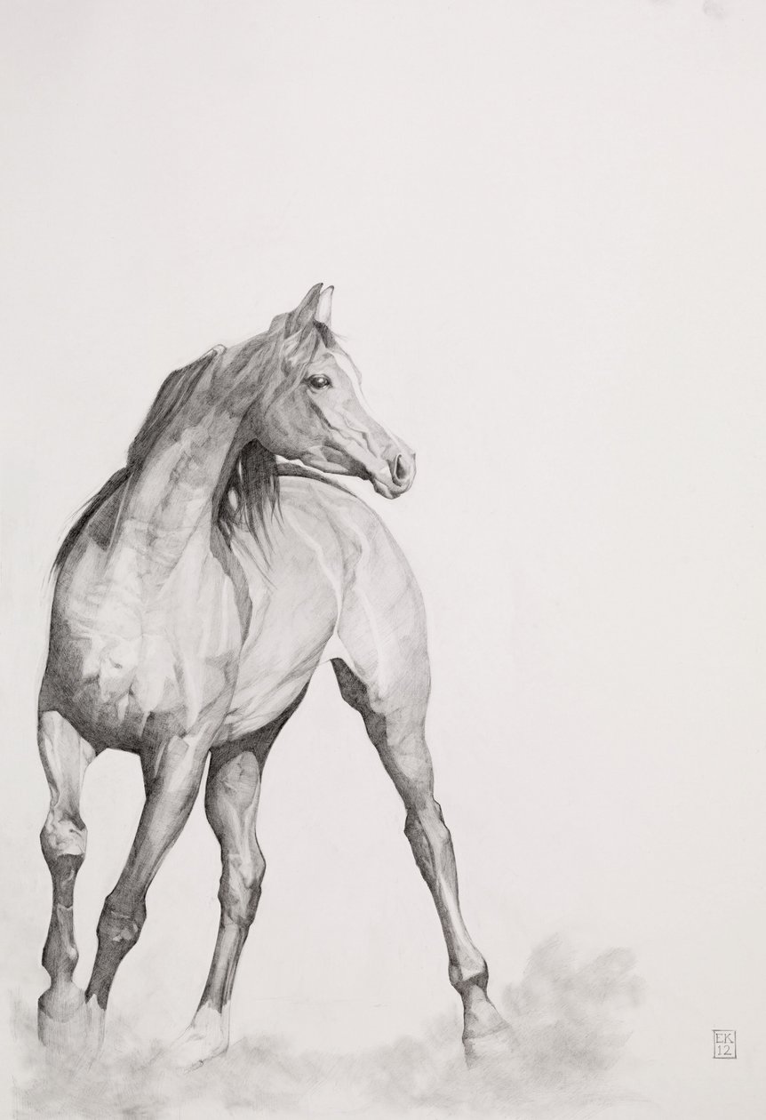 Moving Image, Series 1, 2012 by Emma Kennaway