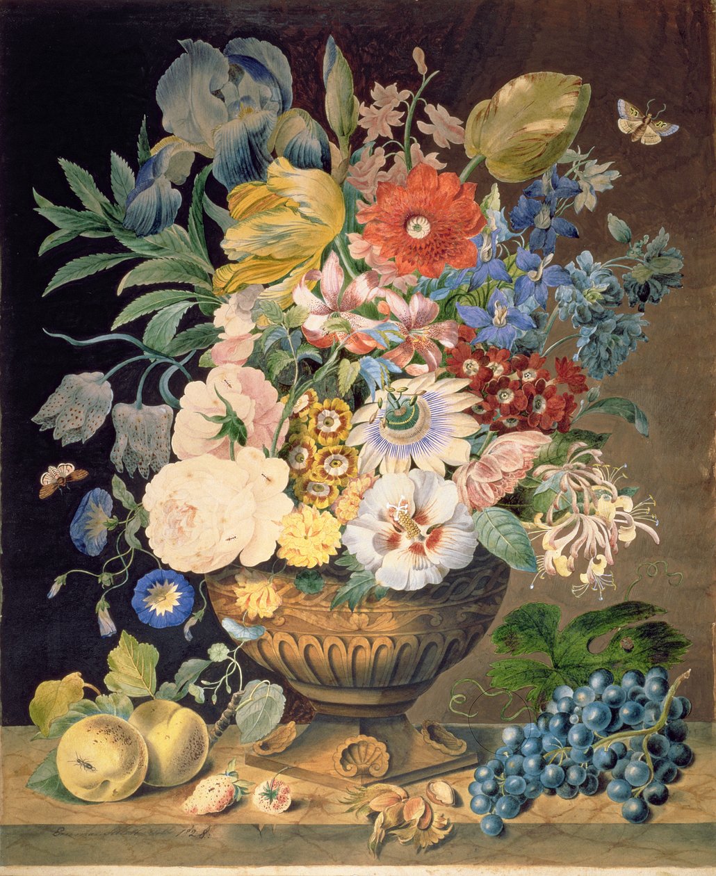 Flowers and Fruit, 1828 by Emma Sillett