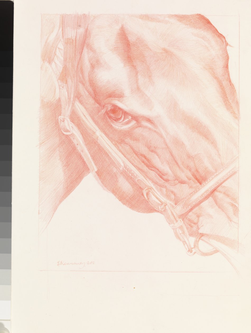 Portrait Head, 2012 by Emma Kennaway
